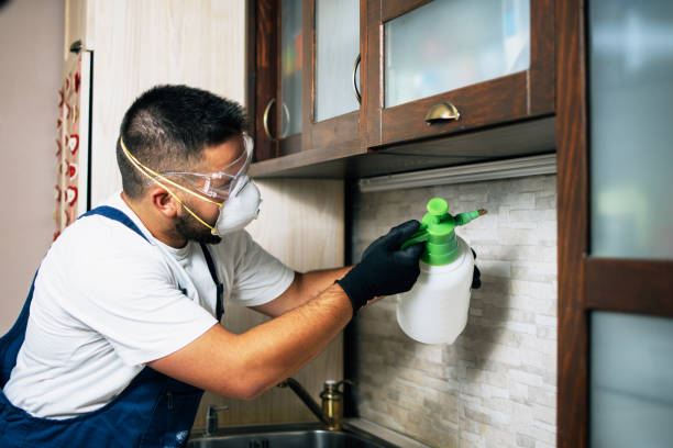 Best Ant Control Services  in Crown Heights, NY