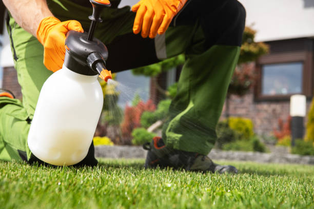 Best Mosquito Control Services  in Crown Heights, NY