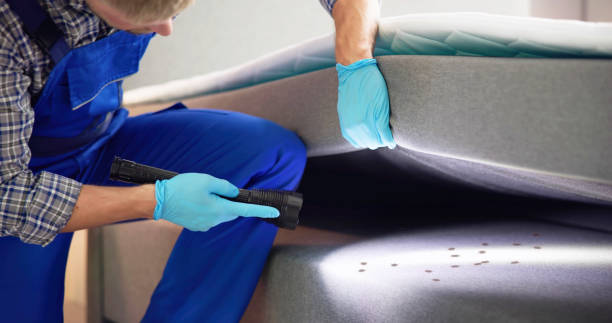 Best Cockroach Control Services  in Crown Heights, NY