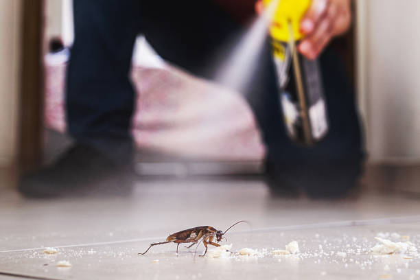 Best Residential Pest Control  in Crown Heights, NY