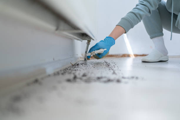 Best Pest Removal Services  in Crown Heights, NY